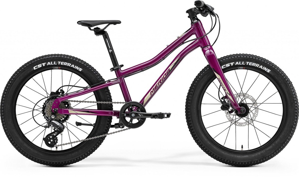 MERIDA MATTS J.20+ Purple 25cm 10" 2022